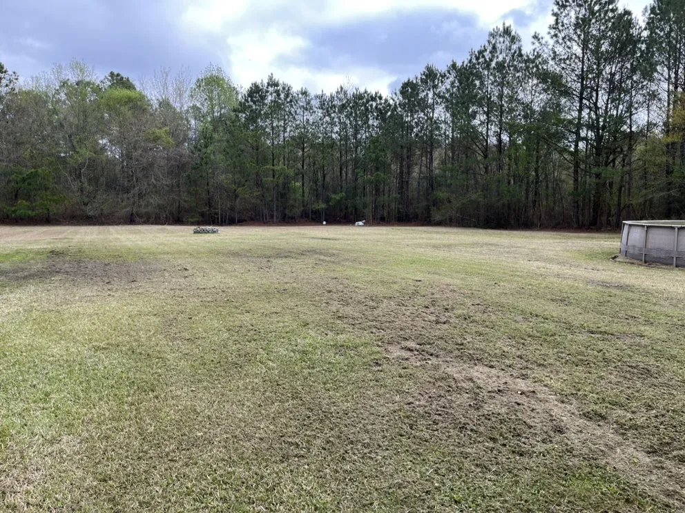 Professional yard cleanup service near you across Kinston, NC - Grass Whacker’s Lawn Care