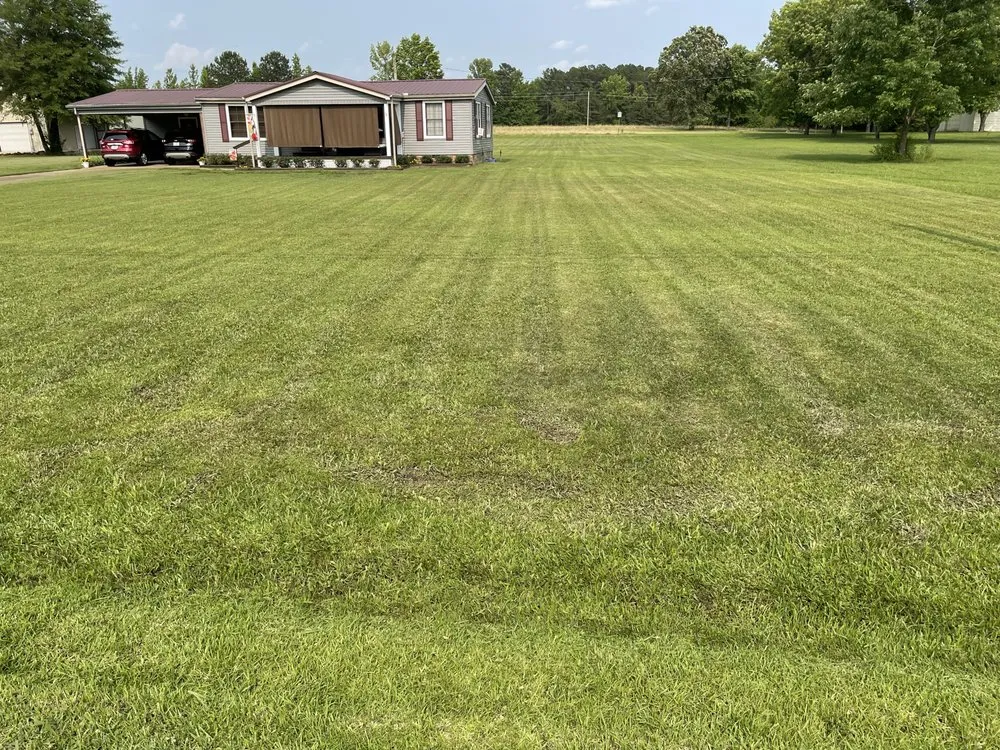 Professional lawn mowing service in Corinth, MS - Grass Whisperers