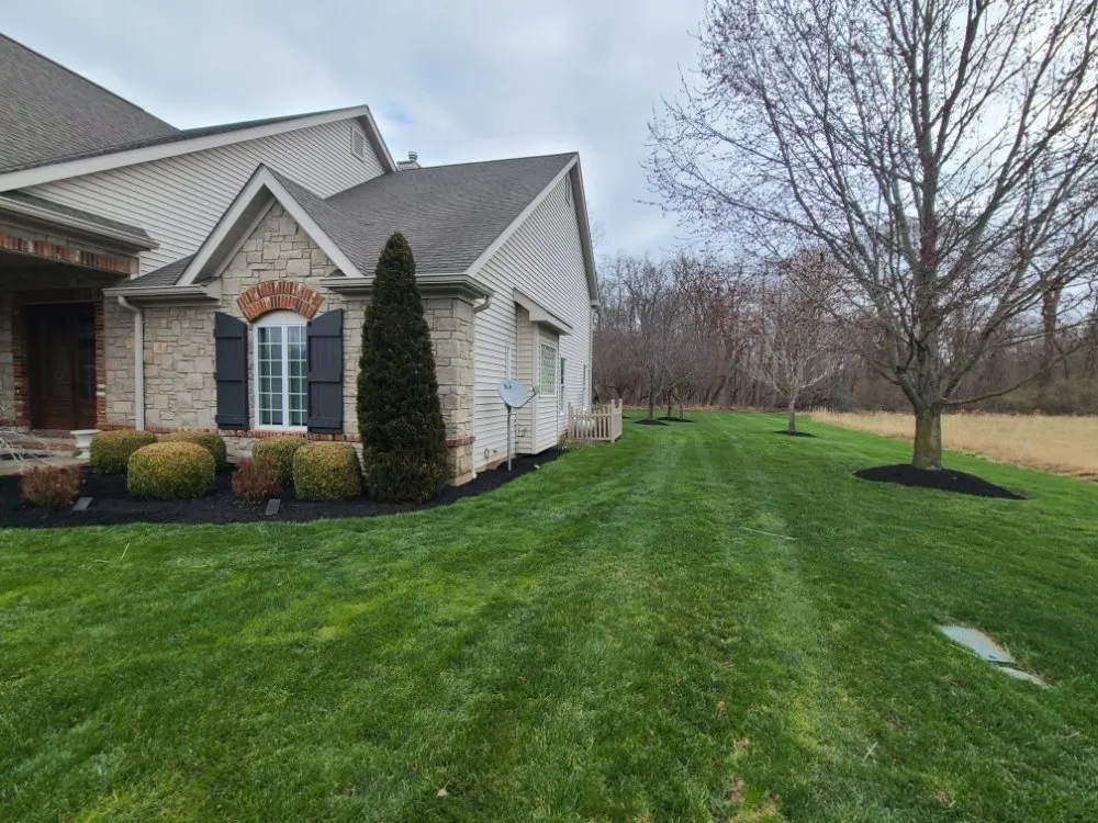 Affordable yard cleanup service with custom design in St. Louis, MO by Grass Wolverine