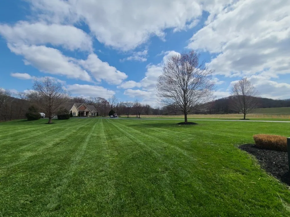 Top-rated lawn care service for year-round maintenance across St. Louis, MO - Grass Wolverine