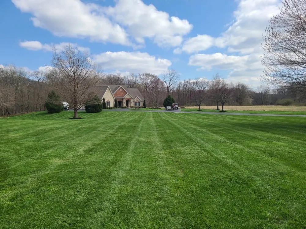 Expert landscaping services in St. Louis, MO - Grass Wolverine
