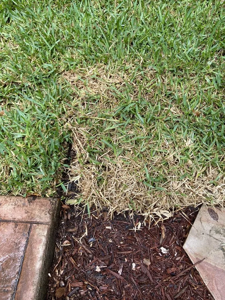 Local yard maintenance for year-round maintenance across Leander, TX - Grass Works Lawn Care