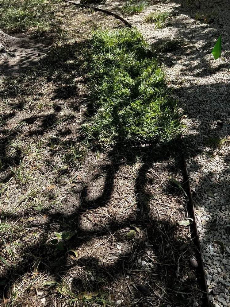 Expert garden landscaping experts serving Leander, TX - Grass Works Lawn Care