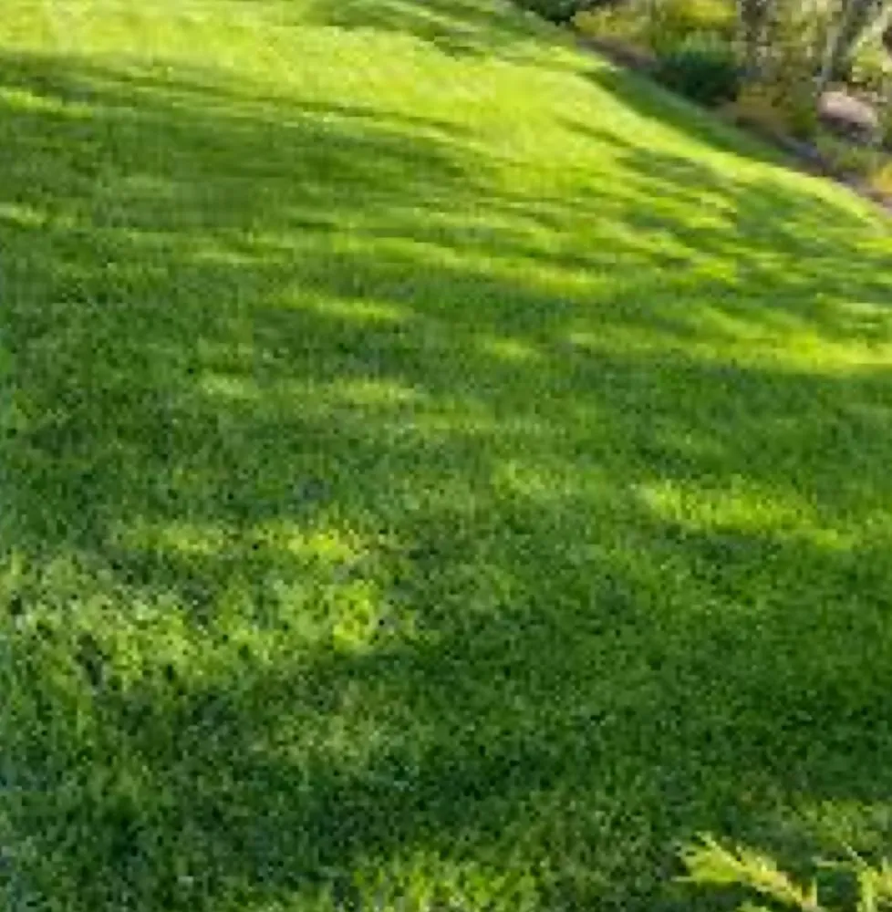 Reliable landscape design in Fulton, MO - Grass Wranglers