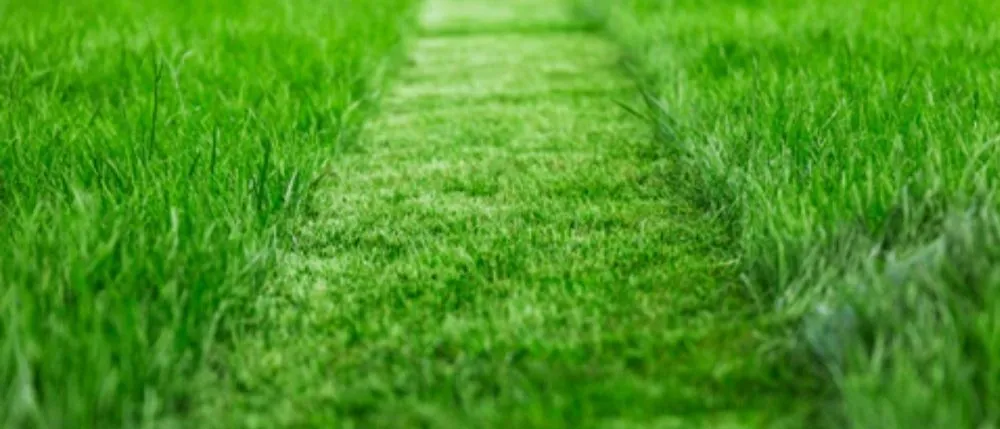 Affordable landscape installation in Fulton, MO by Grass Wranglers