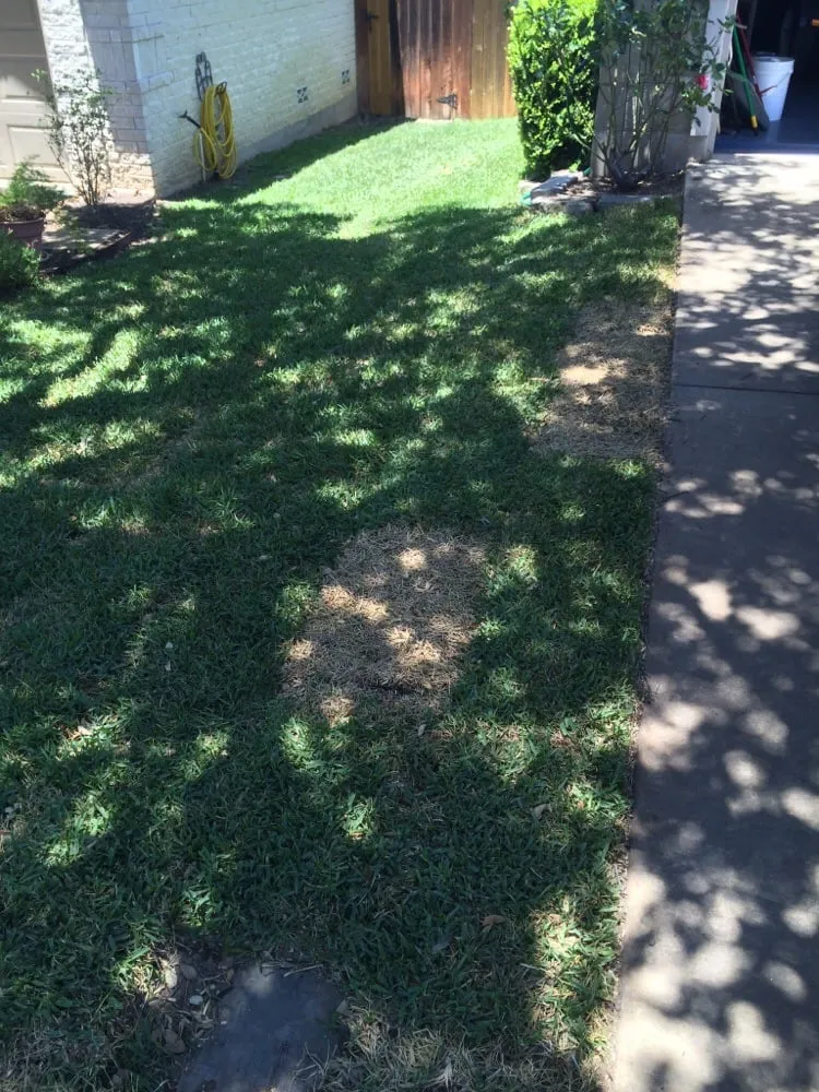 Affordable landscape design experts serving San Antonio, TX - Grass4sale