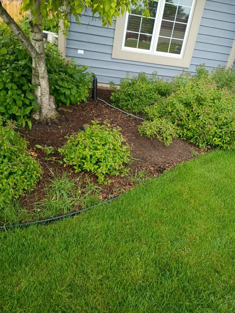 Local yard cleanup service for residential properties in Racine, WI by Grassb Bandits