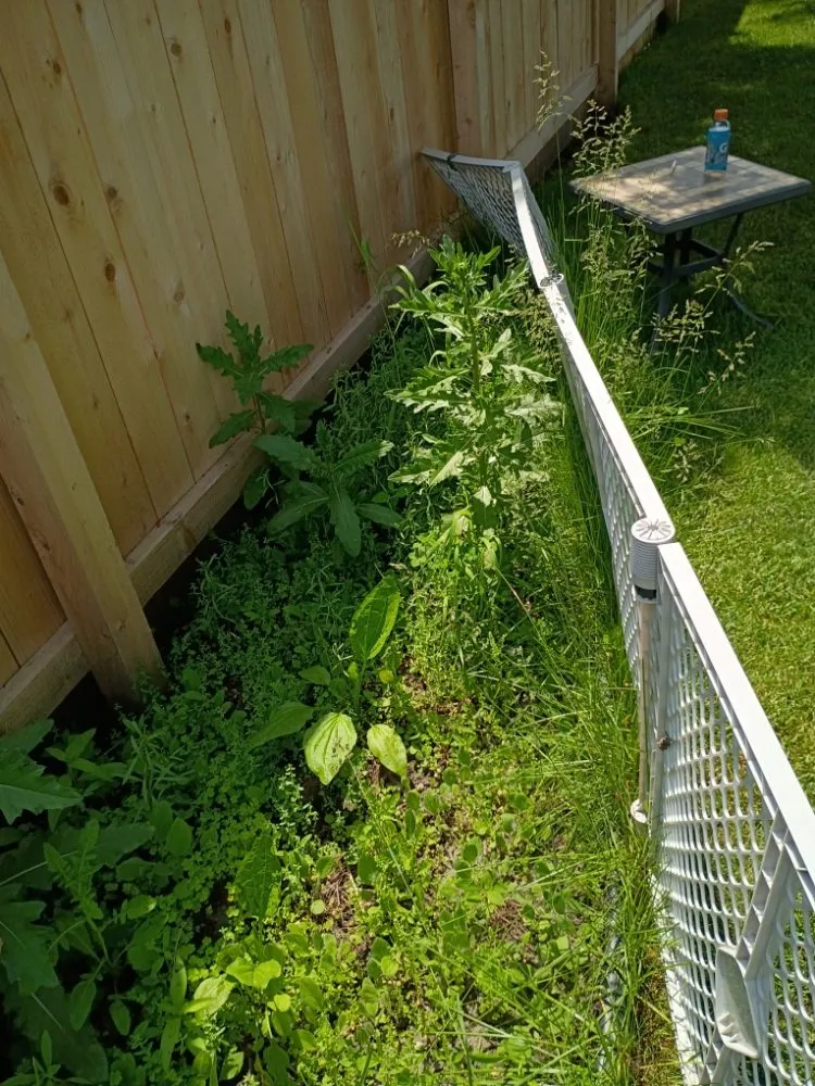 Affordable landscape installation for homes across Racine, WI - Grassb Bandits