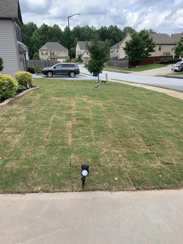 Local yard cleanup service for beautiful yards in Dallas, GA by Grassbeards Landscaping