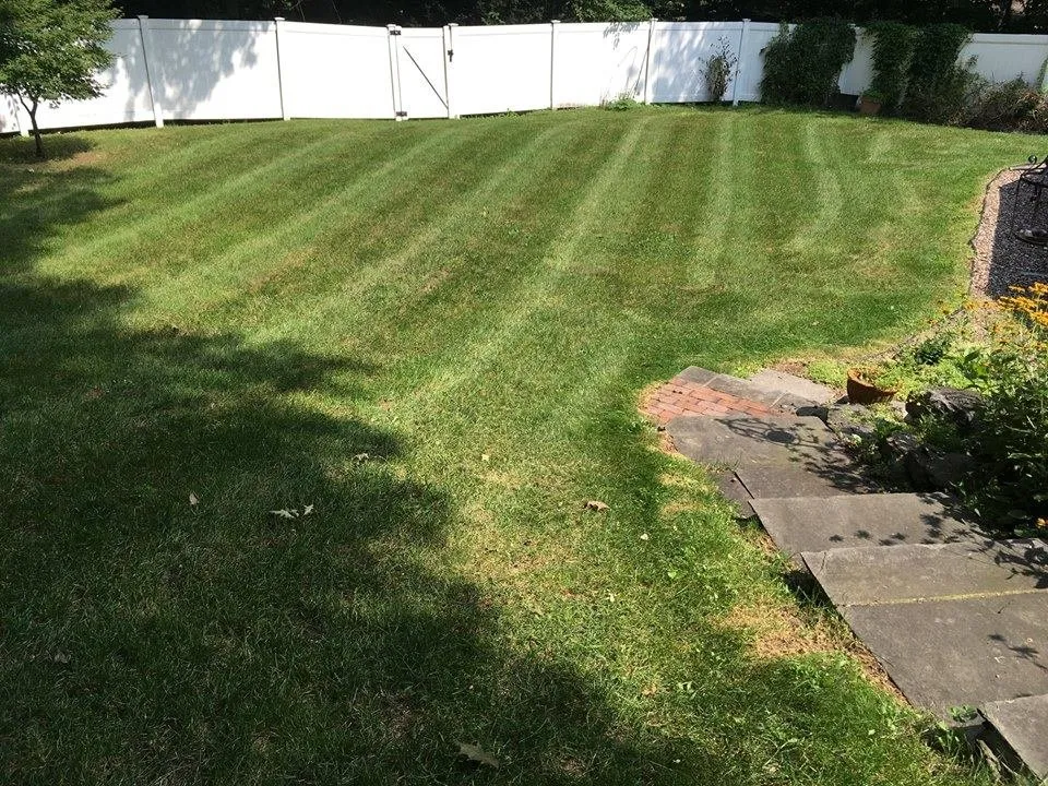 Expert yard maintenance in Bristol, CT - Grassbusters Landscaping