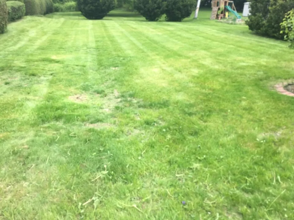 Custom outdoor landscaping in Bristol, CT by Grassbusters Landscaping