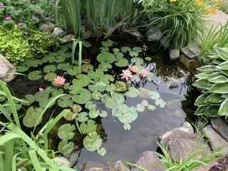 Custom landscape design in Crownsville, MD - Grassbusters Landscaping