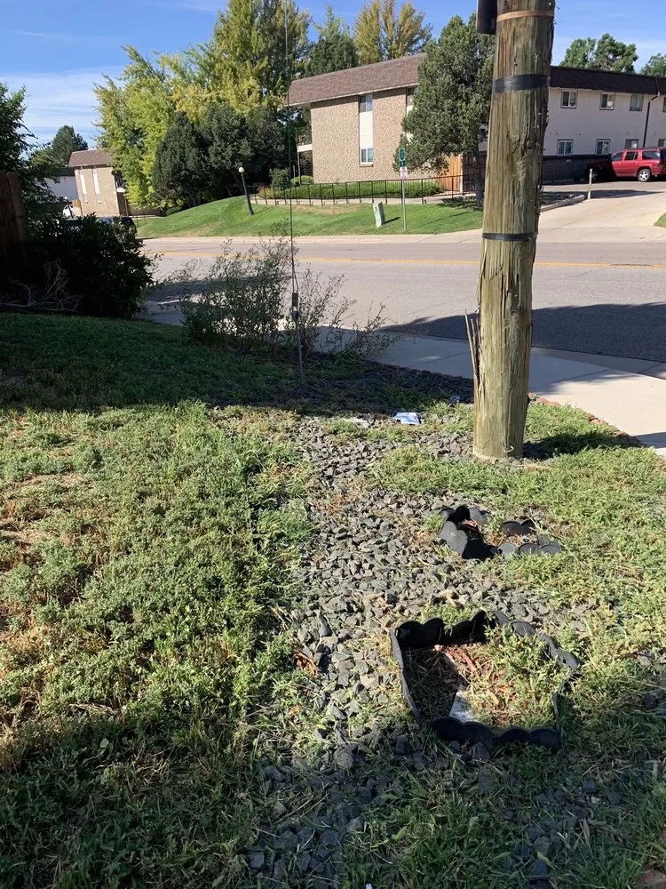 Local landscape installation in Littleton, CO - Grassbusters