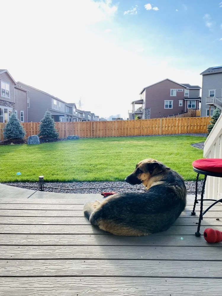 Custom garden landscaping experts serving Littleton, CO - Grassbusters