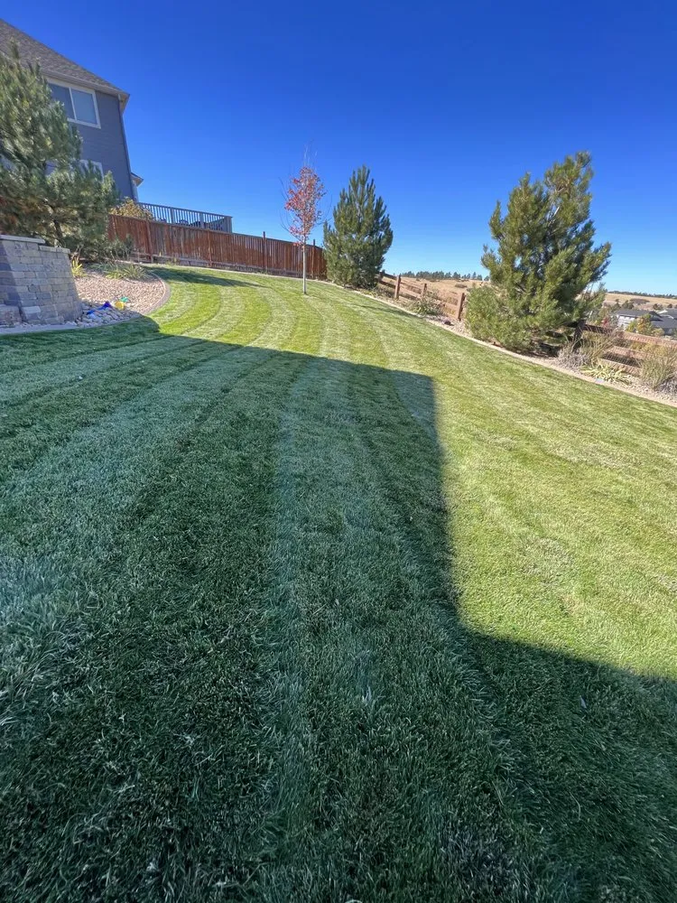 Custom landscape design in Littleton, CO - Grassbusters