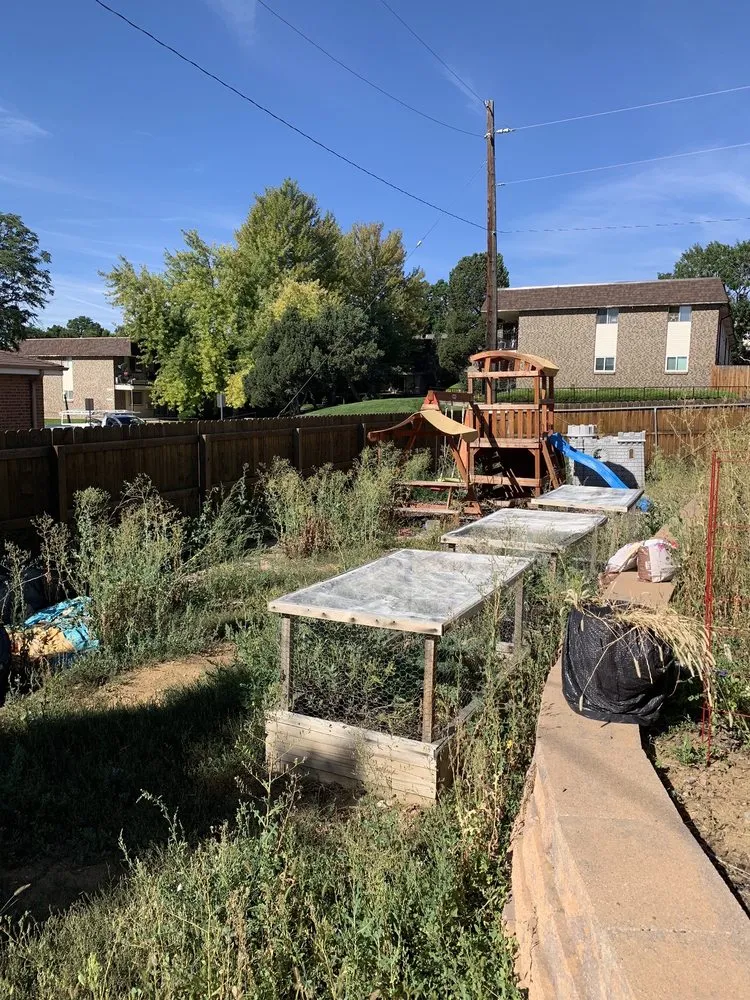 Local outdoor landscaping in Littleton, CO by Grassbusters