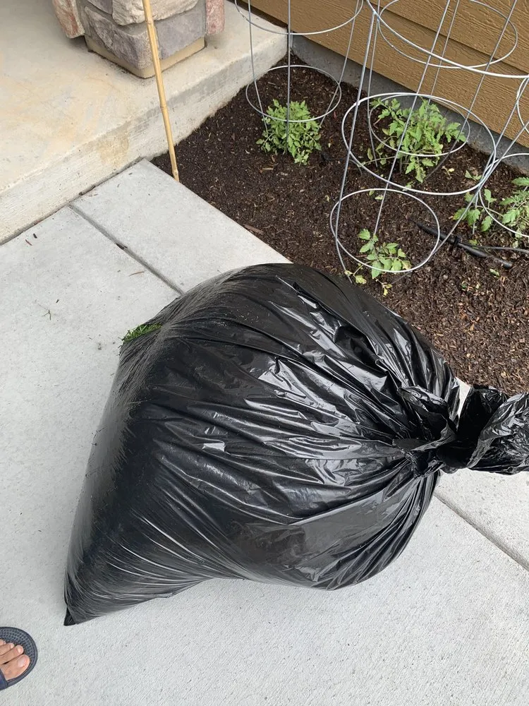 Custom outdoor landscaping in Littleton, CO by Grassbusters