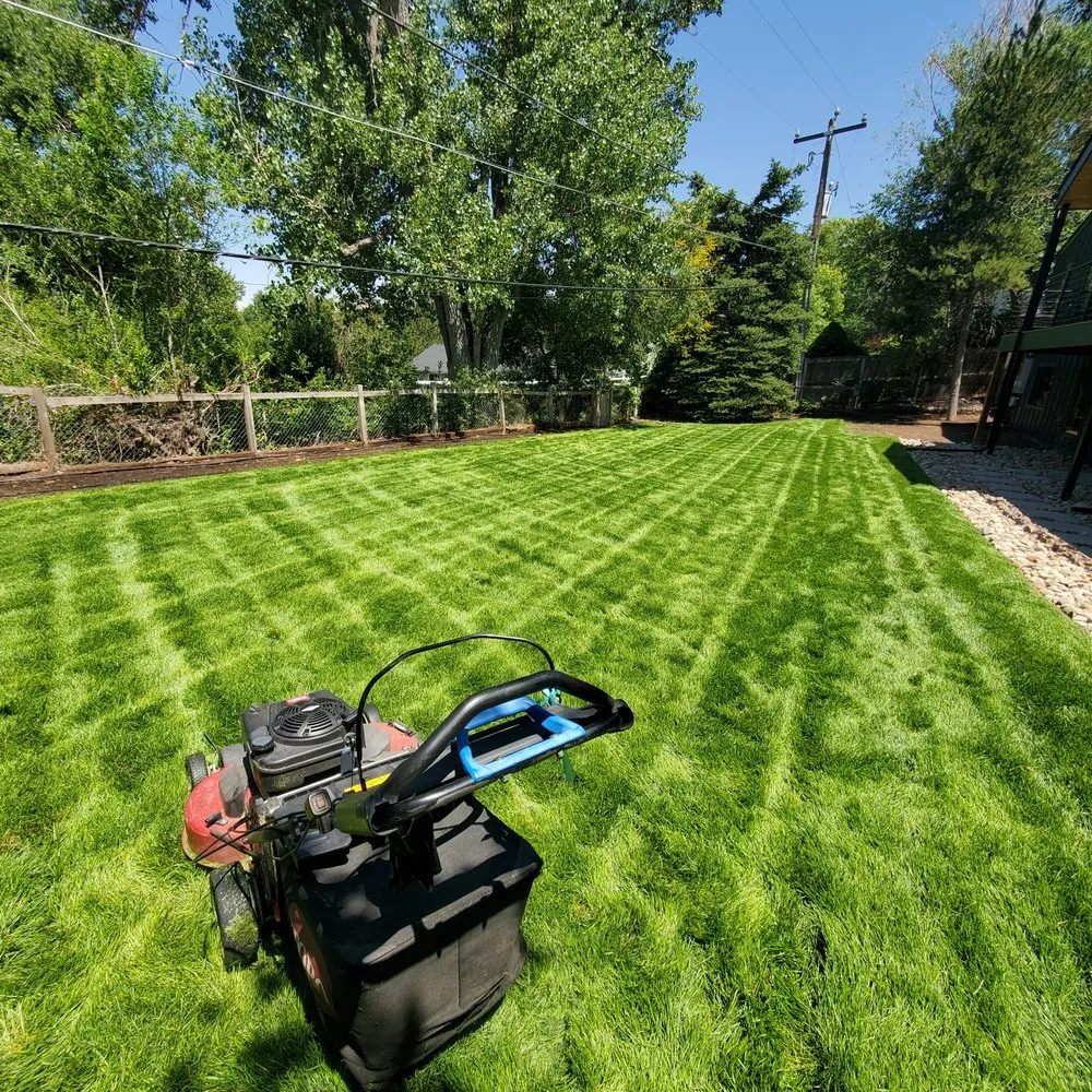 Affordable outdoor landscaping for year-round maintenance across Littleton, CO - Grassbusters