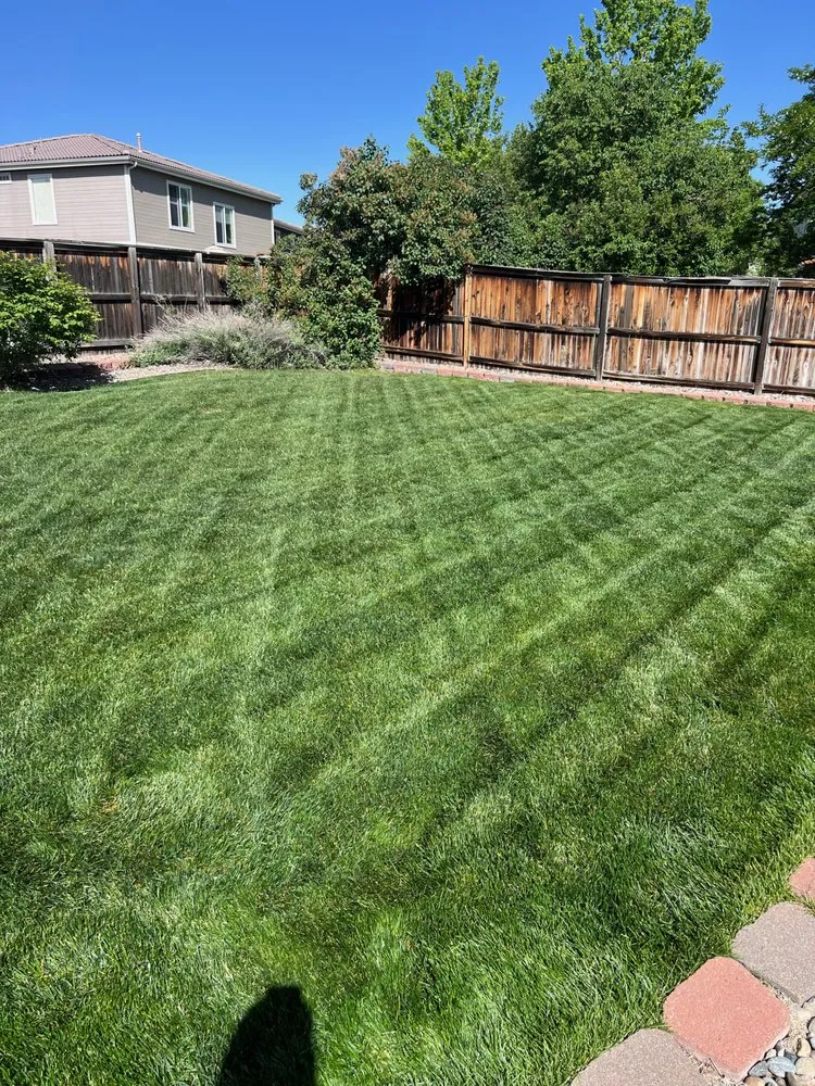 Professional landscape design for beautiful yards across Littleton, CO - Grassbusters