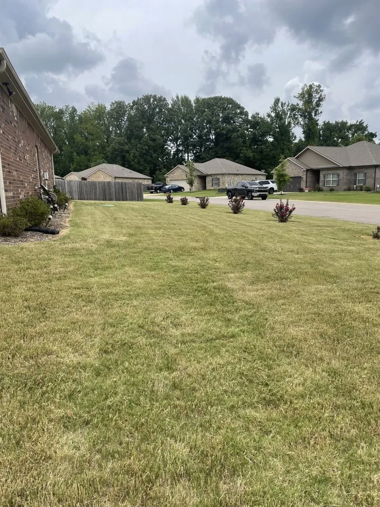 Local yard cleanup service for year-round maintenance across Munford, TN - Grasscape