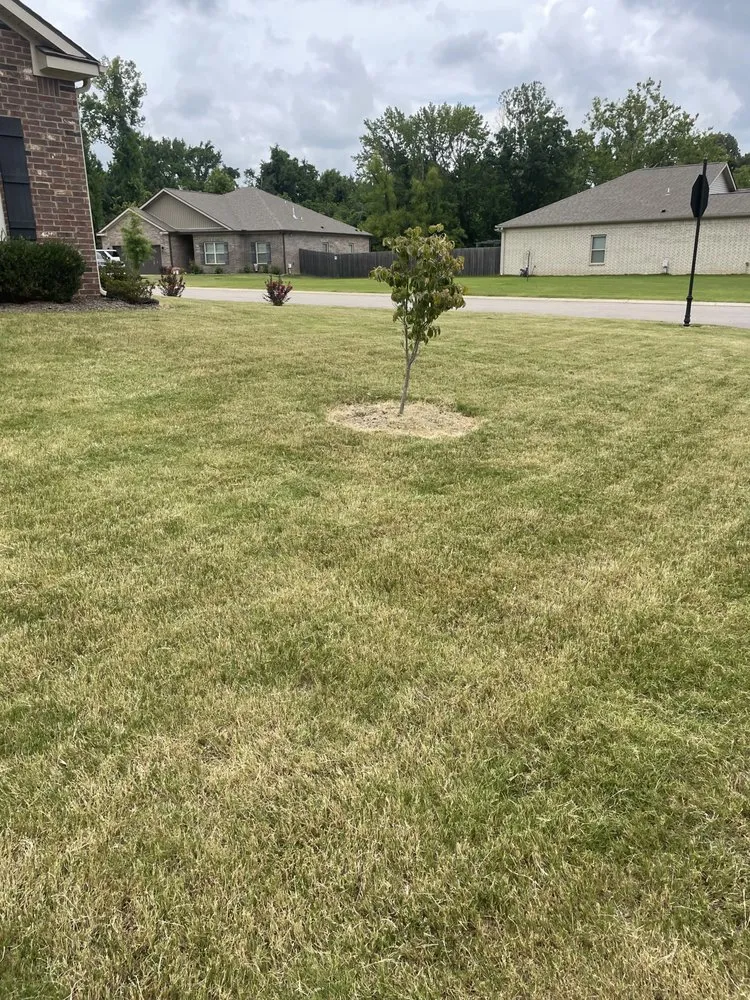 Affordable landscaping services in Munford, TN - Grasscape