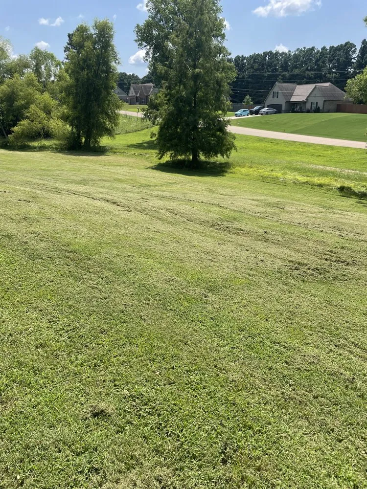 Professional lawn care service in Munford, TN - Grasscape