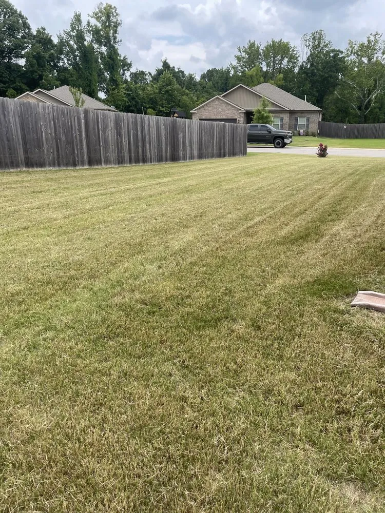 Affordable landscape installation experts serving Munford, TN - Grasscape