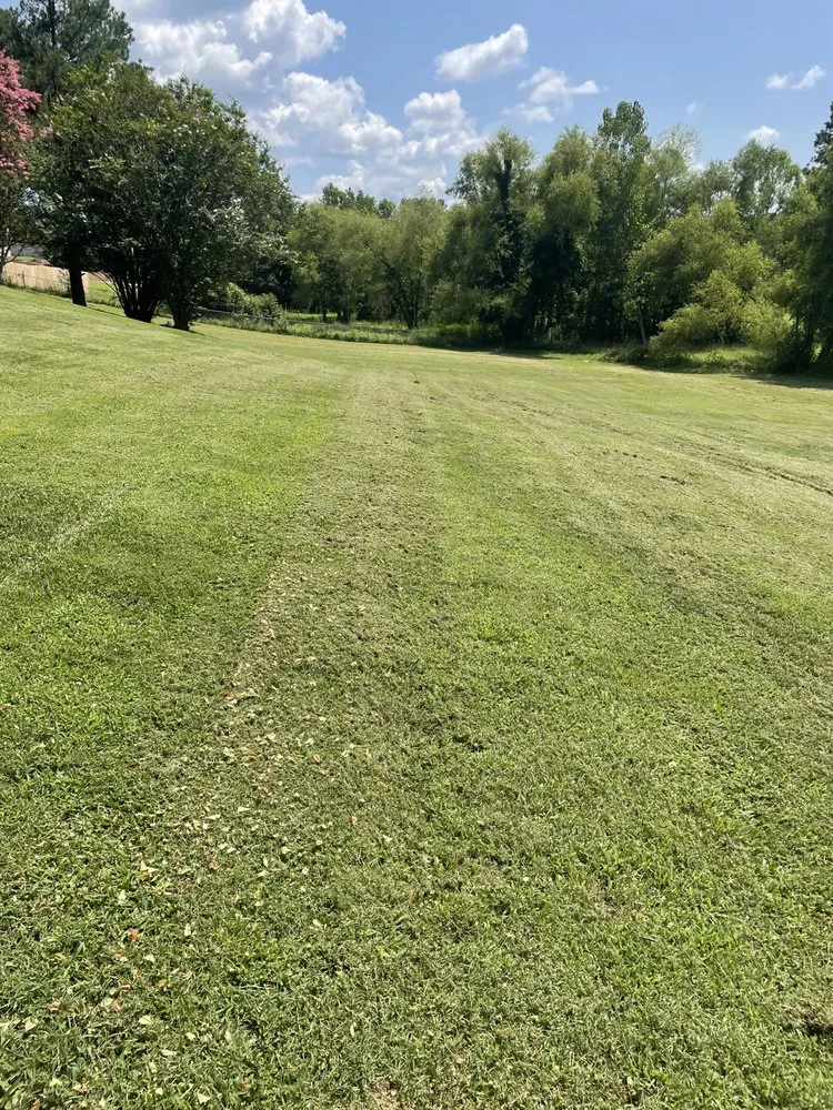 Custom yard cleanup service for outdoor upgrades in Munford, TN by Grasscape