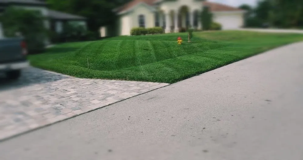 Reliable residential landscaping experts serving Fort Myers, FL - Grasscapes Lawn And Landscaping