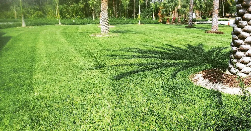 Affordable landscape installation for outdoor upgrades in Fort Myers, FL by Grasscapes Lawn And Landscaping