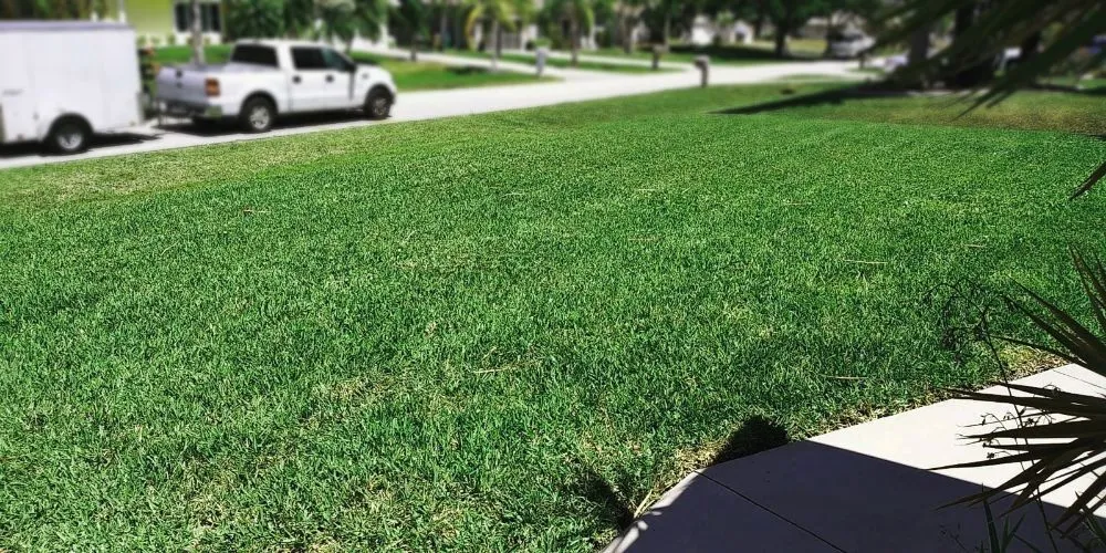 Trusted landscape installation in Fort Myers, FL - Grasscapes Lawn And Landscaping