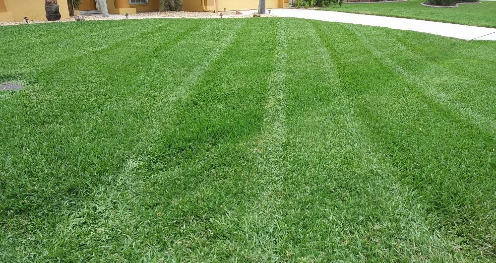 Reliable lawn mowing service for homes in Fort Myers, FL by Grasscapes Lawn And Landscaping