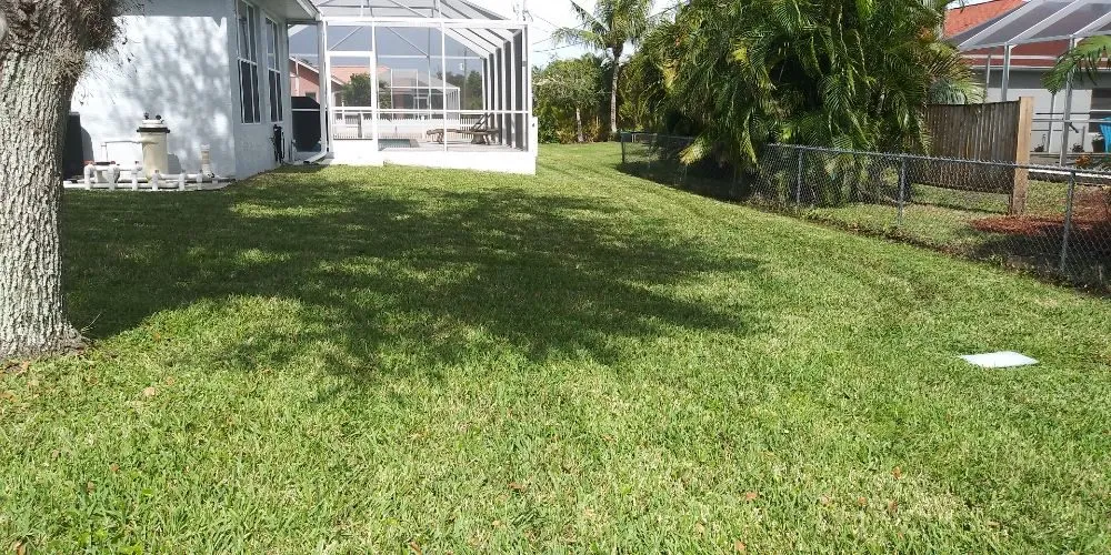 Professional yard maintenance experts serving Fort Myers, FL - Grasscapes Lawn And Landscaping