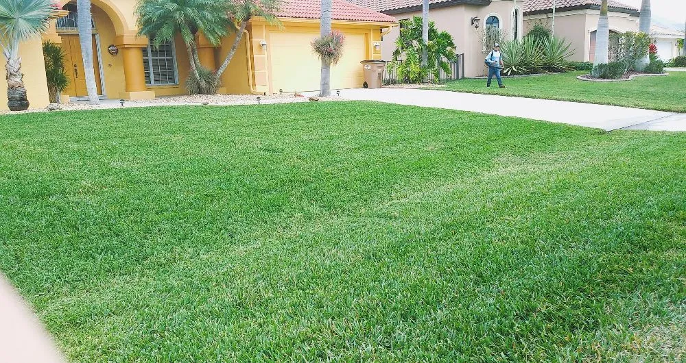 Professional outdoor landscaping in Fort Myers, FL - Grasscapes Lawn And Landscaping