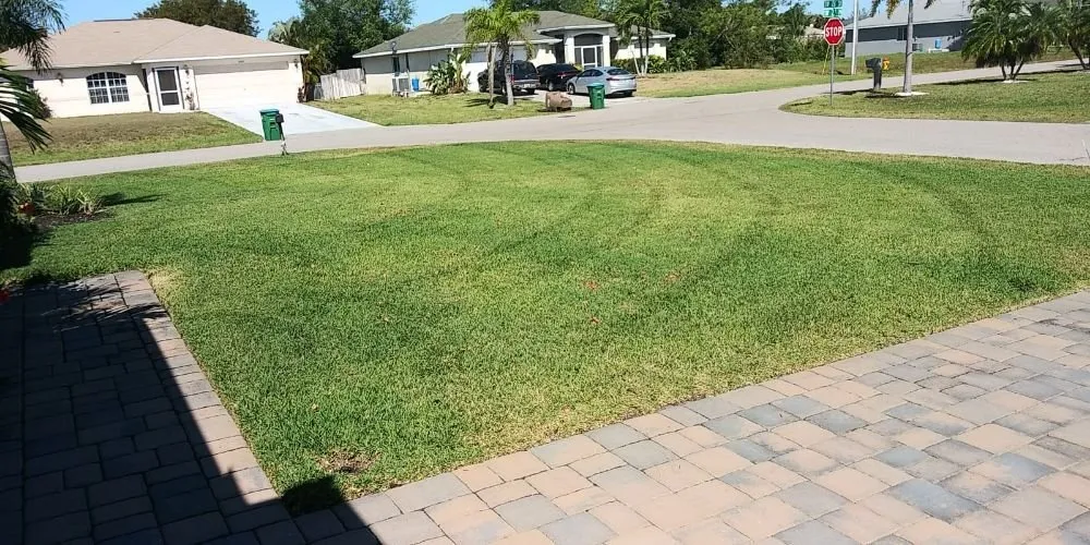 Expert garden landscaping for beautiful yards across Fort Myers, FL - Grasscapes Lawn And Landscaping