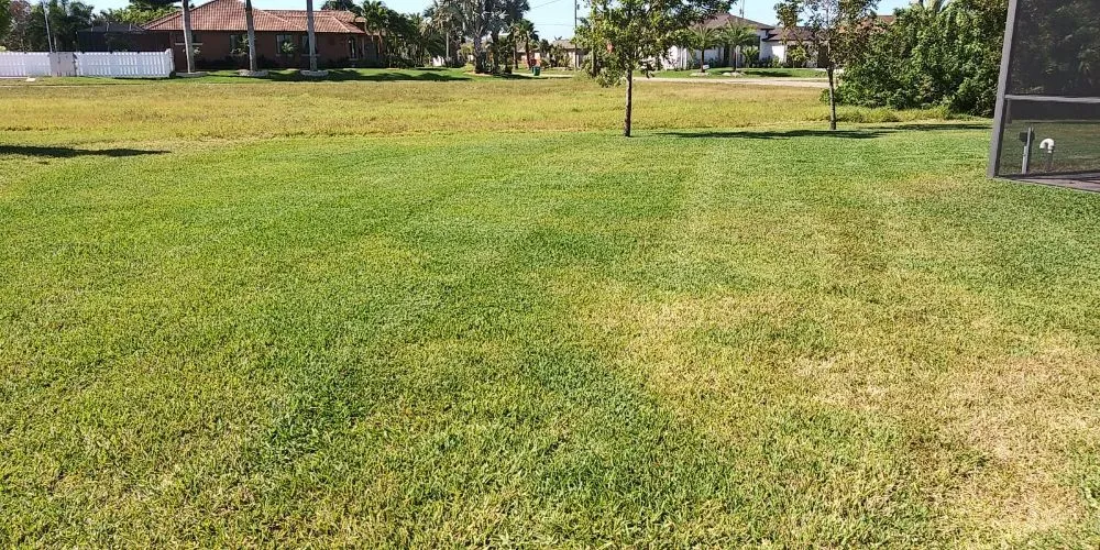 Professional landscaping services for homes in Fort Myers, FL by Grasscapes Lawn And Landscaping