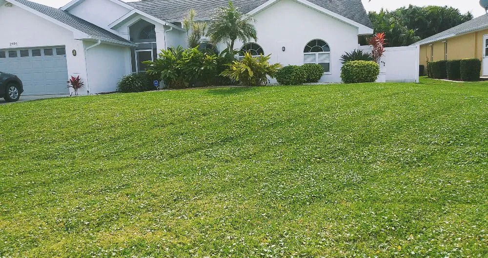 Professional outdoor landscaping for homes across Fort Myers, FL - Grasscapes Lawn And Landscaping