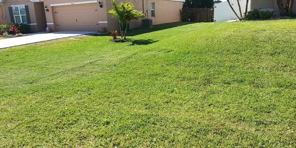 Top-rated landscaping services near you in Fort Myers, FL by Grasscapes Lawn And Landscaping