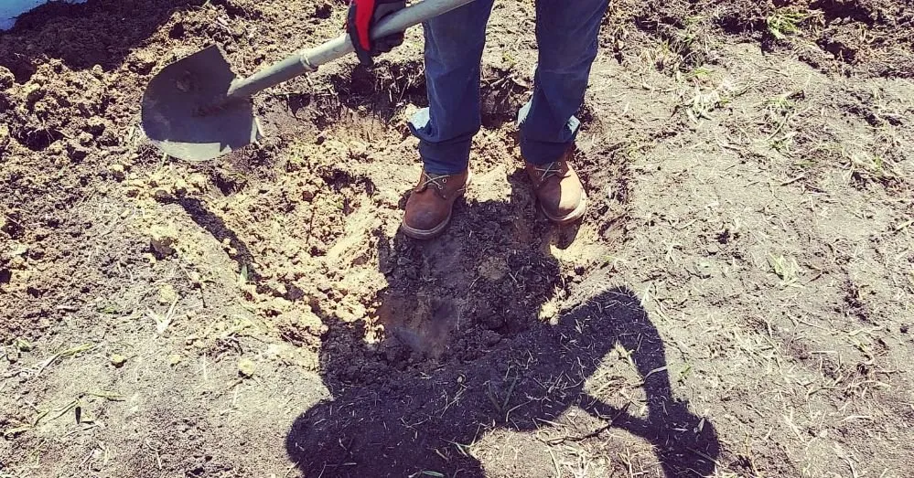 Trusted garden landscaping in Fort Myers, FL by Grasscapes Lawn And Landscaping