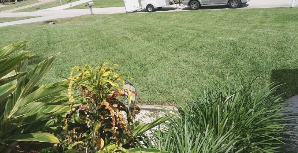 Professional yard maintenance in Fort Myers, FL by Grasscapes Lawn And Landscaping