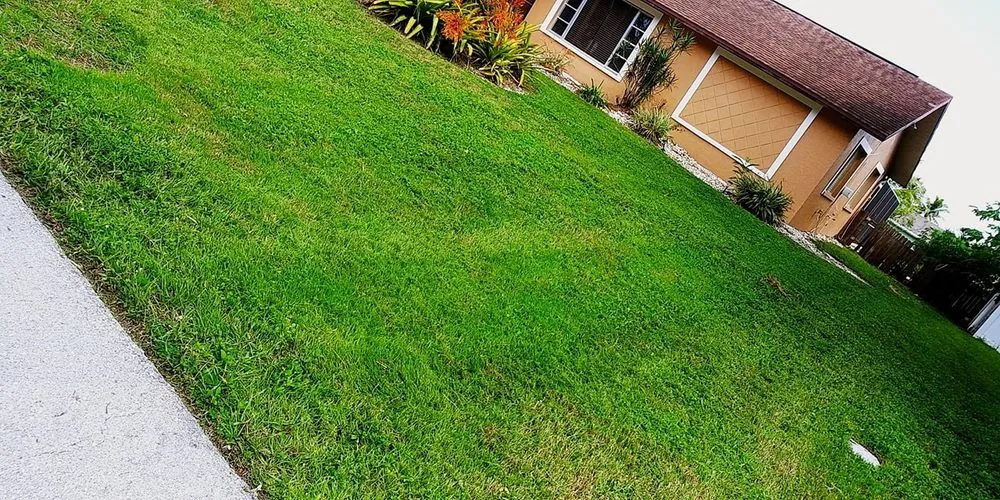 Top-rated yard cleanup service in Fort Myers, FL by Grasscapes Lawn And Landscaping