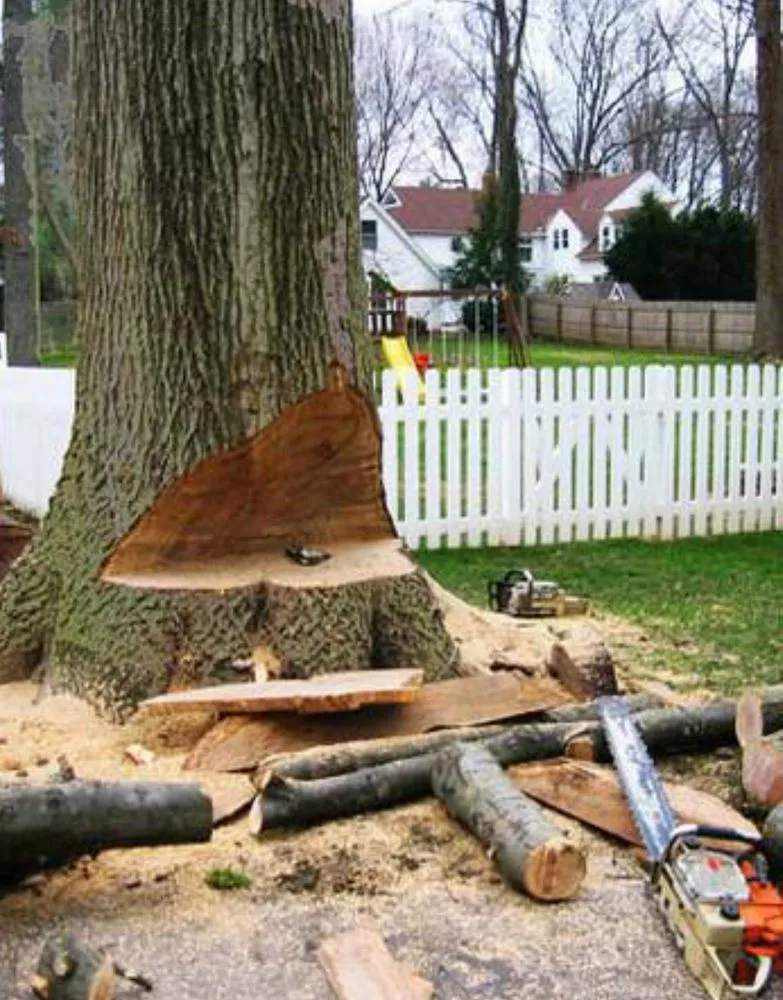 Reliable yard maintenance in Monroe, NC - GrassChopper Landscaping