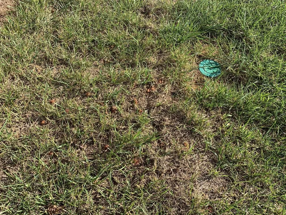 Affordable outdoor landscaping for beautiful yards in Monroe, NC by GrassChopper Landscaping