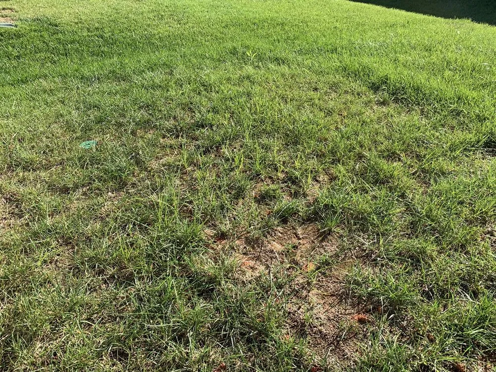 Affordable outdoor landscaping experts serving Monroe, NC - GrassChopper Landscaping