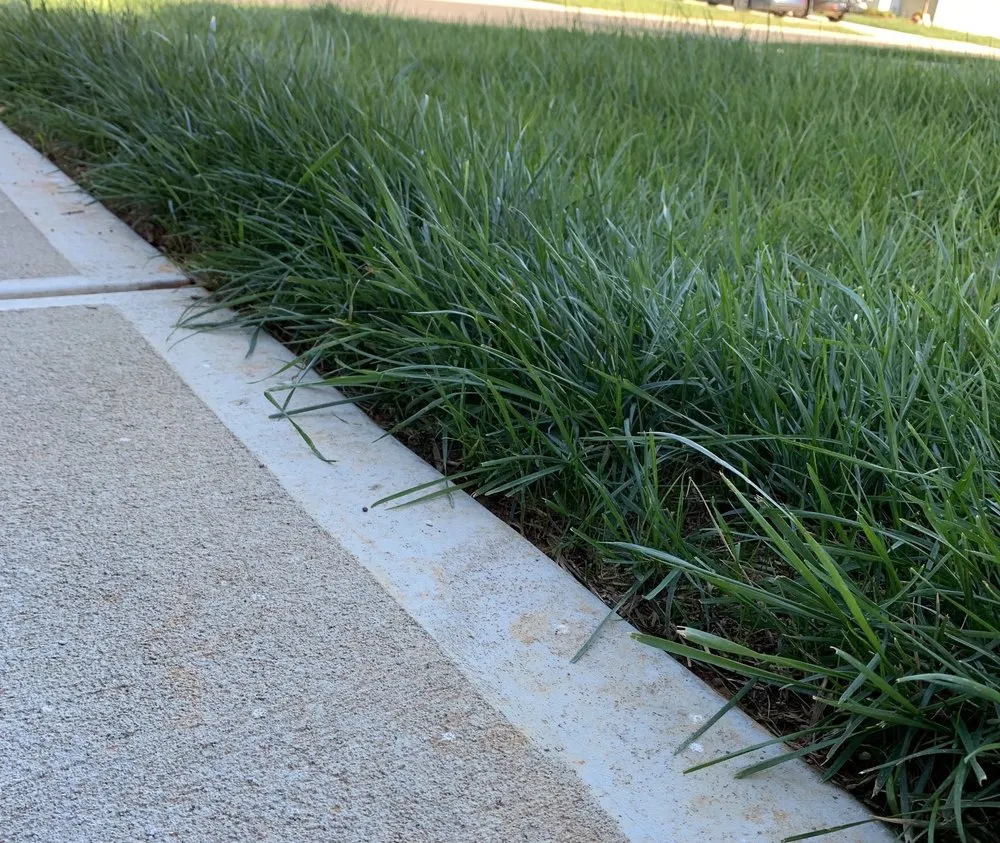 Custom yard cleanup service experts serving Monroe, NC - GrassChopper Landscaping