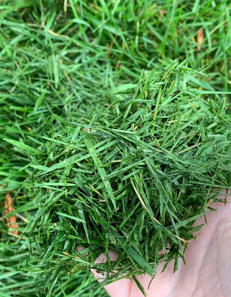 Trusted landscape installation in Monroe, NC by GrassChopper Landscaping