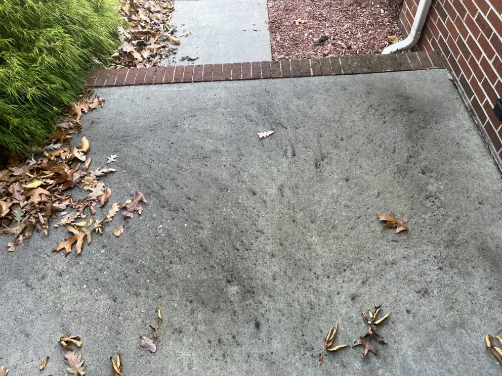 Affordable yard maintenance experts serving Narrows, VA - GrassCuts