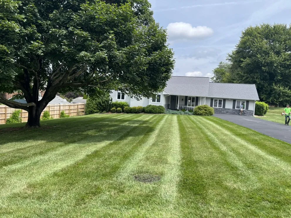 Trusted landscape installation in Narrows, VA - GrassCuts