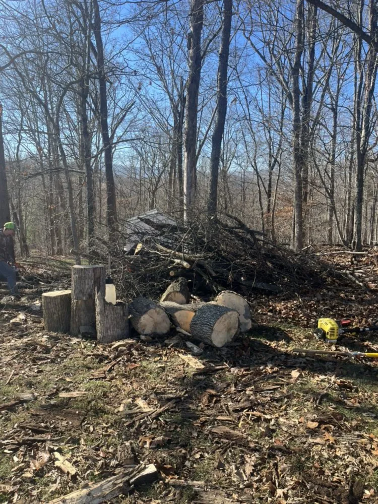 Local outdoor landscaping in Narrows, VA by GrassCuts