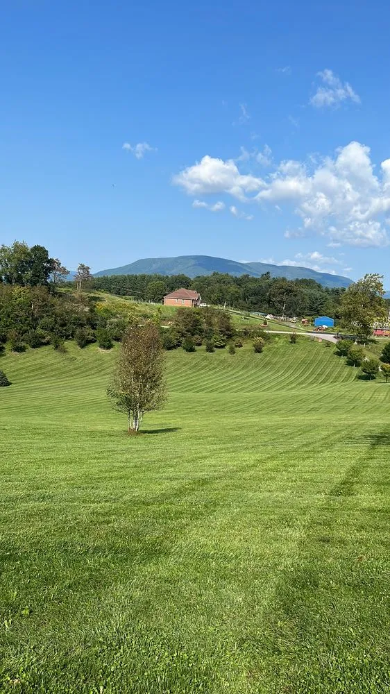 Professional landscaping services with custom design across Narrows, VA - GrassCuts